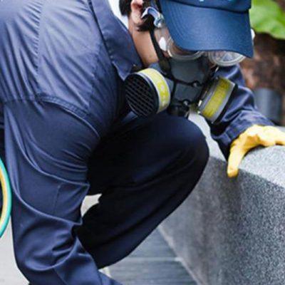 Grupo JEle: A Sua Empresa de Dedetização em BH e Região!