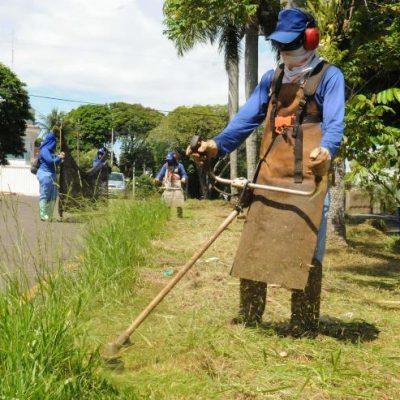 Grupo JotaEle: Empresa de Serviço Para Roçada de Matos!