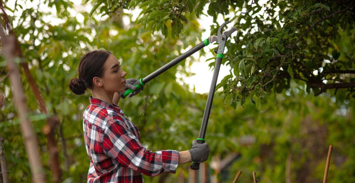 Soluções Ambientais em BH